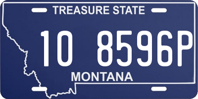 MT license plate 108596P