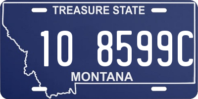 MT license plate 108599C