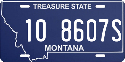 MT license plate 108607S