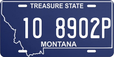 MT license plate 108902P