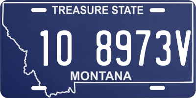 MT license plate 108973V