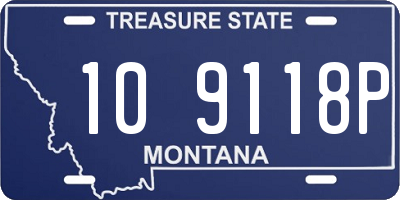 MT license plate 109118P