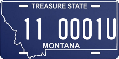 MT license plate 110001U