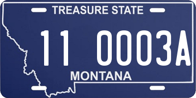 MT license plate 110003A