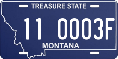 MT license plate 110003F