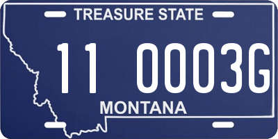 MT license plate 110003G