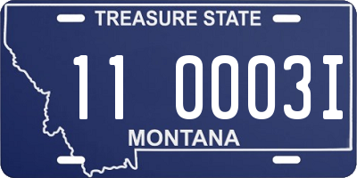 MT license plate 110003I