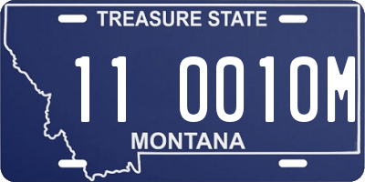 MT license plate 110010M