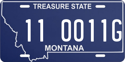 MT license plate 110011G