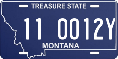 MT license plate 110012Y