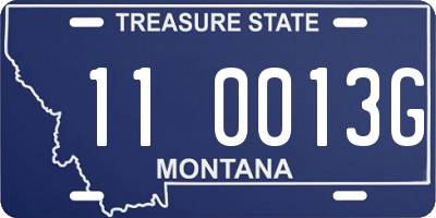 MT license plate 110013G