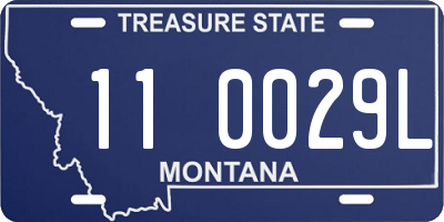 MT license plate 110029L