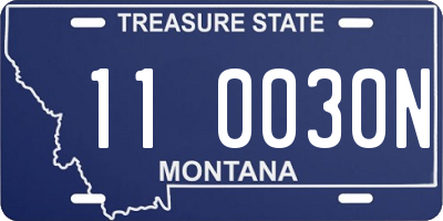 MT license plate 110030N