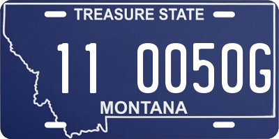 MT license plate 110050G