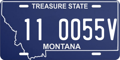 MT license plate 110055V