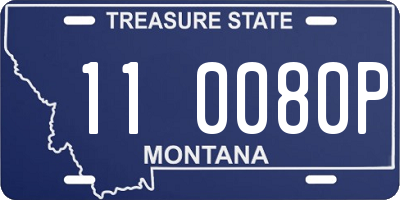 MT license plate 110080P