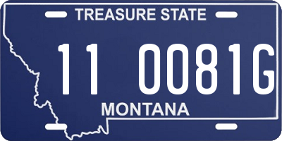 MT license plate 110081G