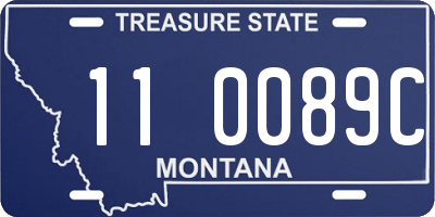 MT license plate 110089C