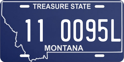 MT license plate 110095L