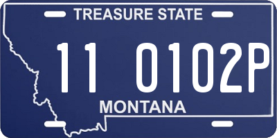 MT license plate 110102P