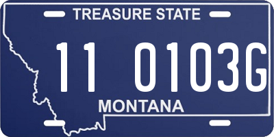 MT license plate 110103G