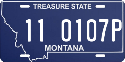 MT license plate 110107P
