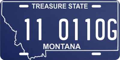 MT license plate 110110G