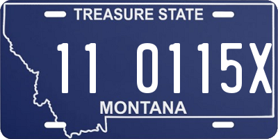 MT license plate 110115X