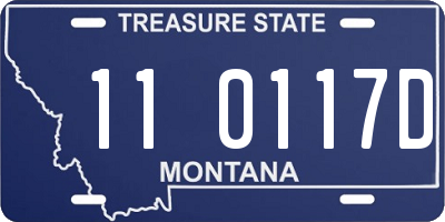 MT license plate 110117D