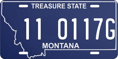 MT license plate 110117G
