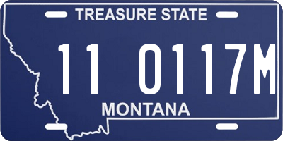 MT license plate 110117M