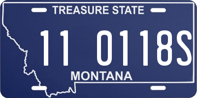 MT license plate 110118S