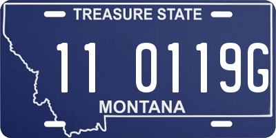 MT license plate 110119G