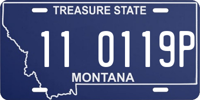 MT license plate 110119P