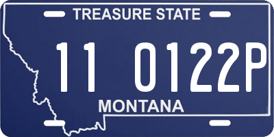 MT license plate 110122P