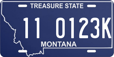 MT license plate 110123K
