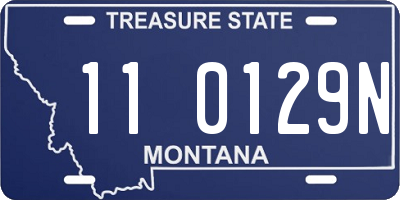 MT license plate 110129N