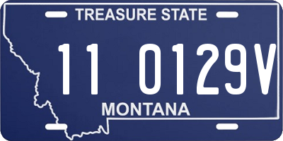 MT license plate 110129V