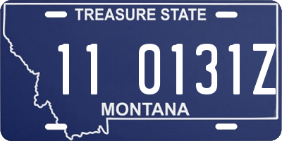 MT license plate 110131Z