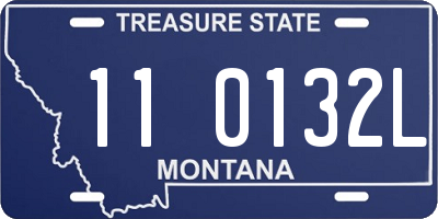 MT license plate 110132L