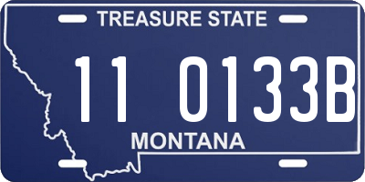 MT license plate 110133B