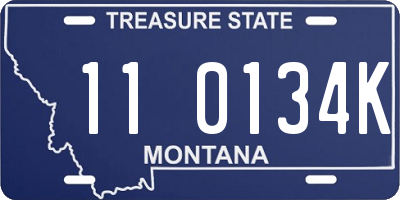 MT license plate 110134K