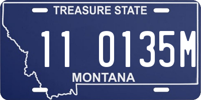 MT license plate 110135M