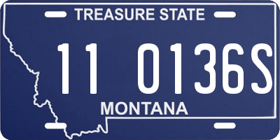 MT license plate 110136S