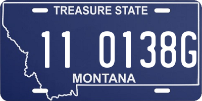MT license plate 110138G