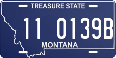 MT license plate 110139B