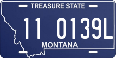 MT license plate 110139L