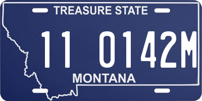 MT license plate 110142M