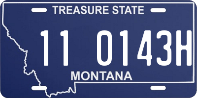 MT license plate 110143H
