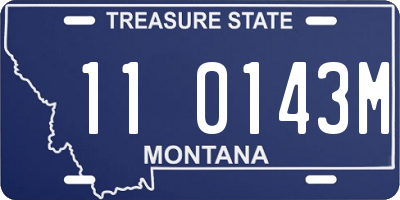 MT license plate 110143M